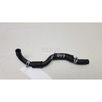 Патрубок Hyundai-Kia Santa Fe (TM) 2018 254432R000