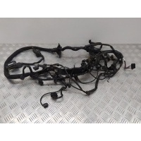 Проводка двигателя Mercedes S W221 2008 A6421500120