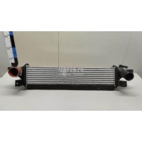 Интеркулер Chery Exceed TXL 2020 302000960AA