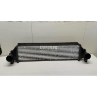 Интеркулер Chery Exceed VX 2021 302000507AA