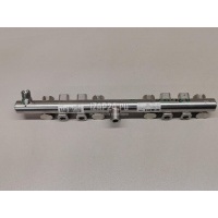 Рейка топливная (рампа) Chery Exceed TXL 2020 F4J151121010