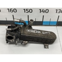 Радиатор системы EGR VAG Leon (1M1) (1999 - 2006) 038131512H