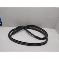 Уплотнитель (внутри) Ford Focus II (2005 - 2008) 1534918