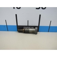 Натяжитель цепи Citroen-Peugeot C4 (2005 - 2011) 0829G3