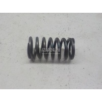 Пружина клапана VAG A6 [C6,4F] (2004 - 2011) 059109633J