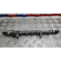Топливная рампа дизельная VOLKSWAGEN PASSAT (2010-2014) 2014 03L130089AA