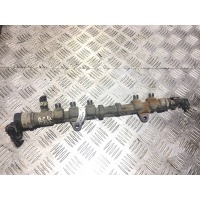 топливная рампа Opel Corsa D 2011 0445214224,55573467