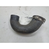 Патрубок интеркулера Opel Signum 2006 55350918