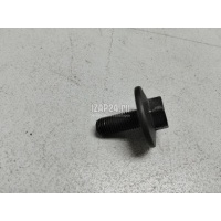 Болт коленвала Ford Fiesta (1995 - 2001) 1057134