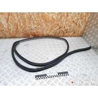 уплотнитель двери Hyundai Terracan 2003 HP040624,040624