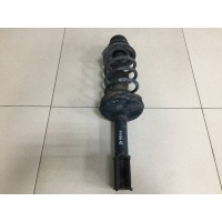 Амортизатор передний Renault Renault Sandero 2009-2014 543020103R