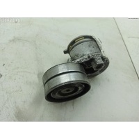 Механизм натяжения ремня, цепи Renault Scenic II (2003-2009) 2004 905328
