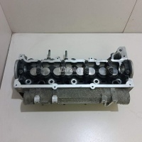 Головка блока Renault Megane II (2003 - 2009) 110417781R