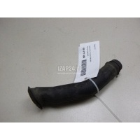Водосток Renault Kangoo (2003 - 2008) 7700425347