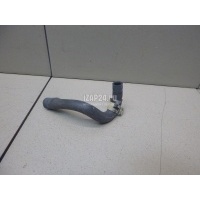 Патрубок Honda Accord VII (2003 - 2008) 36282RAAA00