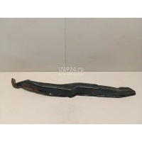 Пыльник (кузов наружные) Ford Fusion (2002 - 2012) 1211282