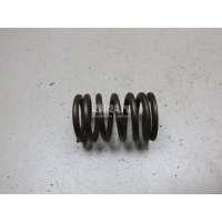 Пружина клапана Renault Scenic RX4 (2000 - 2003) 8200077656