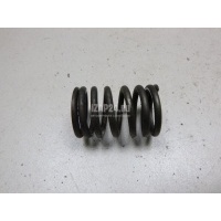 Пружина клапана Renault Scenic RX4 (2000 - 2003) 8200077656