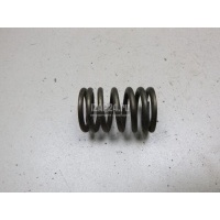 Пружина клапана Renault Scenic RX4 (2000 - 2003) 8200077656