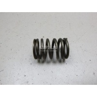 Пружина клапана Renault Scenic RX4 (2000 - 2003) 8200077656