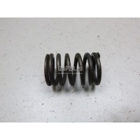 Пружина клапана Renault Scenic RX4 (2000 - 2003) 8200077656