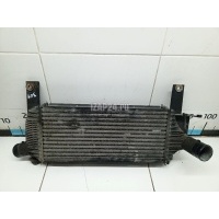 Интеркулер Nissan Pathfinder (R51) (2005 - 2014) 14461EB360
