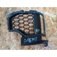 Заглушка (решетка) в бампер передний BMW X5 G05 2019 51118069210