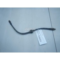 Шланг тормозной передний Renault Megane II (2003 - 2009) 8200333851