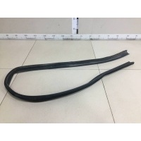 Уплотнитель (Наружный) Renault Renault Sandero 2009-2014 8200733152