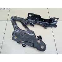 Петля капота левая BMW X4 G02 2018- ,X3 G01 2017- 41617475791