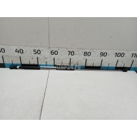 Амортизатор капота VAG Superb (2002 - 2008) 3U0823359