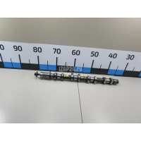 Распредвал выпускной Nissan Note (E11) (2006 - 2013) 13020BC23C