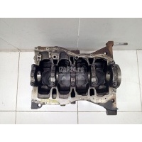 Блок двигателя Renault Scenic II (2003 - 2009) 110103691R
