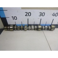 Распредвал Mitsubishi Pajero/Montero II (V1, V2, V3, V4) (1997 - 2001) MD309136