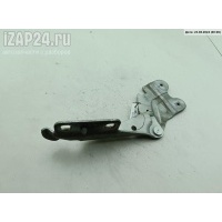 Петля капота левая Renault Laguna II (2001-2007) 2002 418248