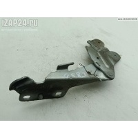 Петля капота правая Renault Laguna II (2001-2007) 2002 418249