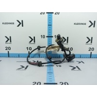 Датчик ABS Ford Focus CB4 2008 1456909, 3M5T-2B325-ABL