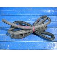 Уплотнитель Двери Ford Focus CB4 2008 1495867, 4M51-A247A15-AG