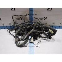 Проводка Двигателя Ford Focus CB8 2011 1722535, BV6T-12A690-BBC