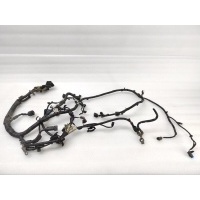проводка двигателя Ford Kuga CBV 2011 1698764, AV4T12A690BB, 1701084