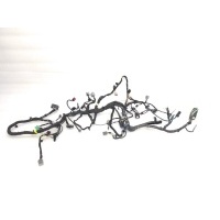 проводка торпеды Ford Ecosport 2 2016 2037385, DN1T14K024SD