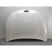 Капот JAC J7 2022 8402010U7300E