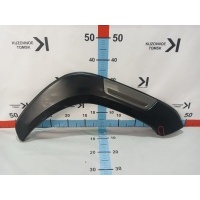 Расширитель крыла Toyota Hilux GUN125 2020 53087YP010, 53087YP010, 53087YP030