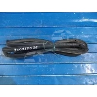 Уплотнитель Двери Volkswagen Passat 3C2 2006 3C5839702D