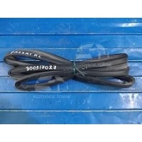 Уплотнитель Двери Volkswagen Passat 3C2 2006 3C5839701D