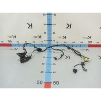 Проводка двери Volkswagen Passat 362 2012 3AB971120AJ
