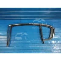 Уплотнитель стекла двери Volkswagen Passat 362 2012 3AE839431D