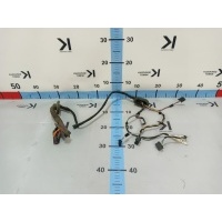 Проводка двери Volkswagen Polo Mk5 2013 6RU971694B