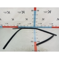 Уплотнитель Стекла Двери (Внутренний) Ford S-MAX CA1 WS 2006-2015 1525318, 1525318, 6M21-R21511-AN