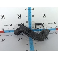 Патрубок воздушного фильтра Kia Soul SK3 2020 28130K0300, 267102B790
